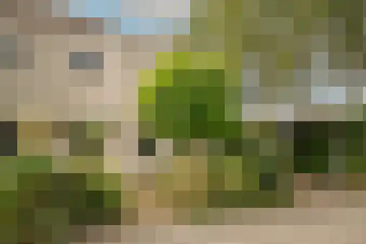 Pelmolenweg 59 Culemborg thumbnail 7