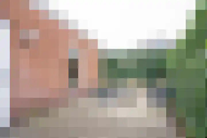 Peloton 8 Steenwijk thumbnail 12