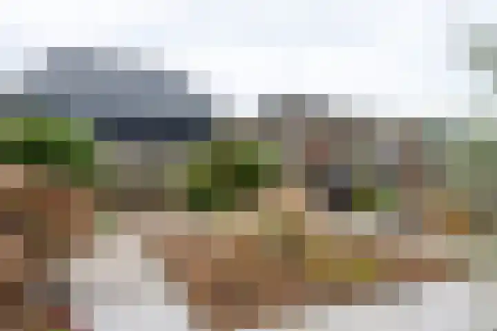 Peloton 8 Steenwijk thumbnail 42