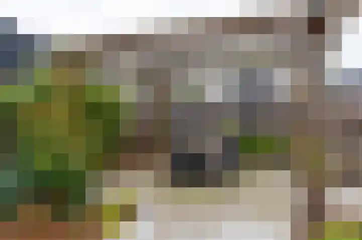 Peloton 8 Steenwijk thumbnail 44