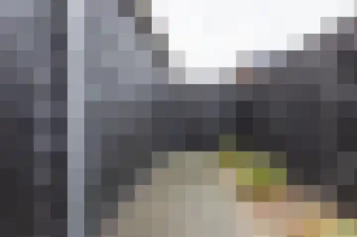Peloton 8 Steenwijk thumbnail 54