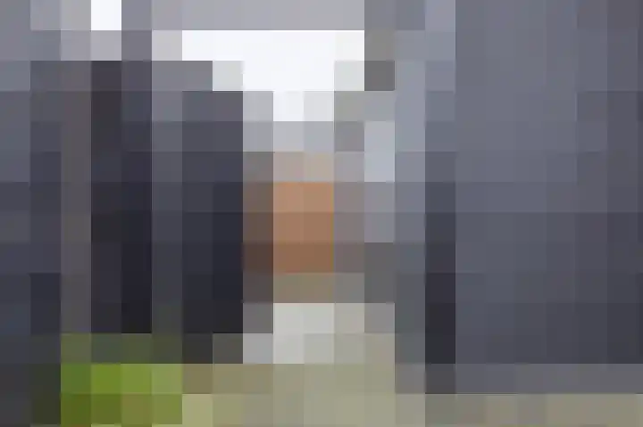 Peloton 8 Steenwijk thumbnail 55