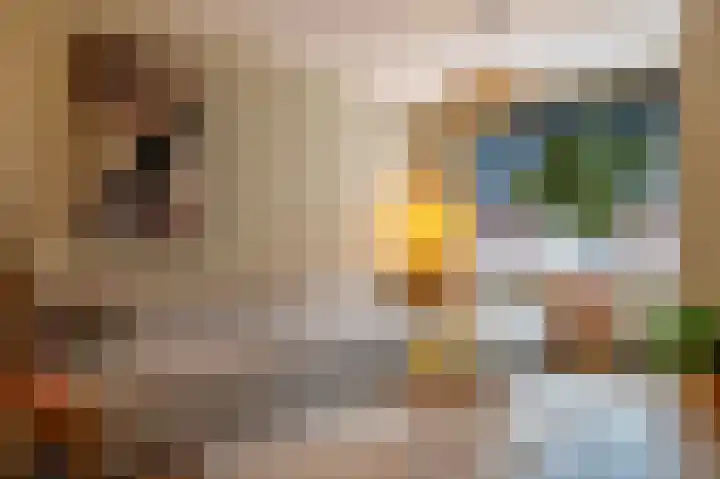 Peloton 8 Steenwijk thumbnail 6