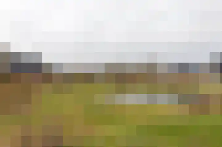 Peloton 8 Steenwijk thumbnail 61