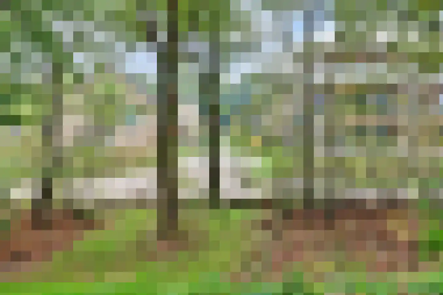Pelotonlaan 14 Ede thumbnail 35
