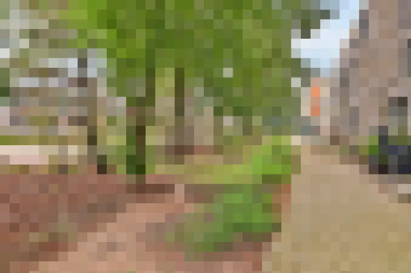 Pelotonlaan 14 Ede thumbnail 39