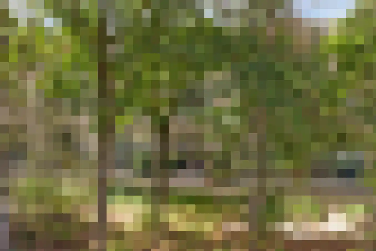 Pelotonlaan 14 Ede thumbnail 40
