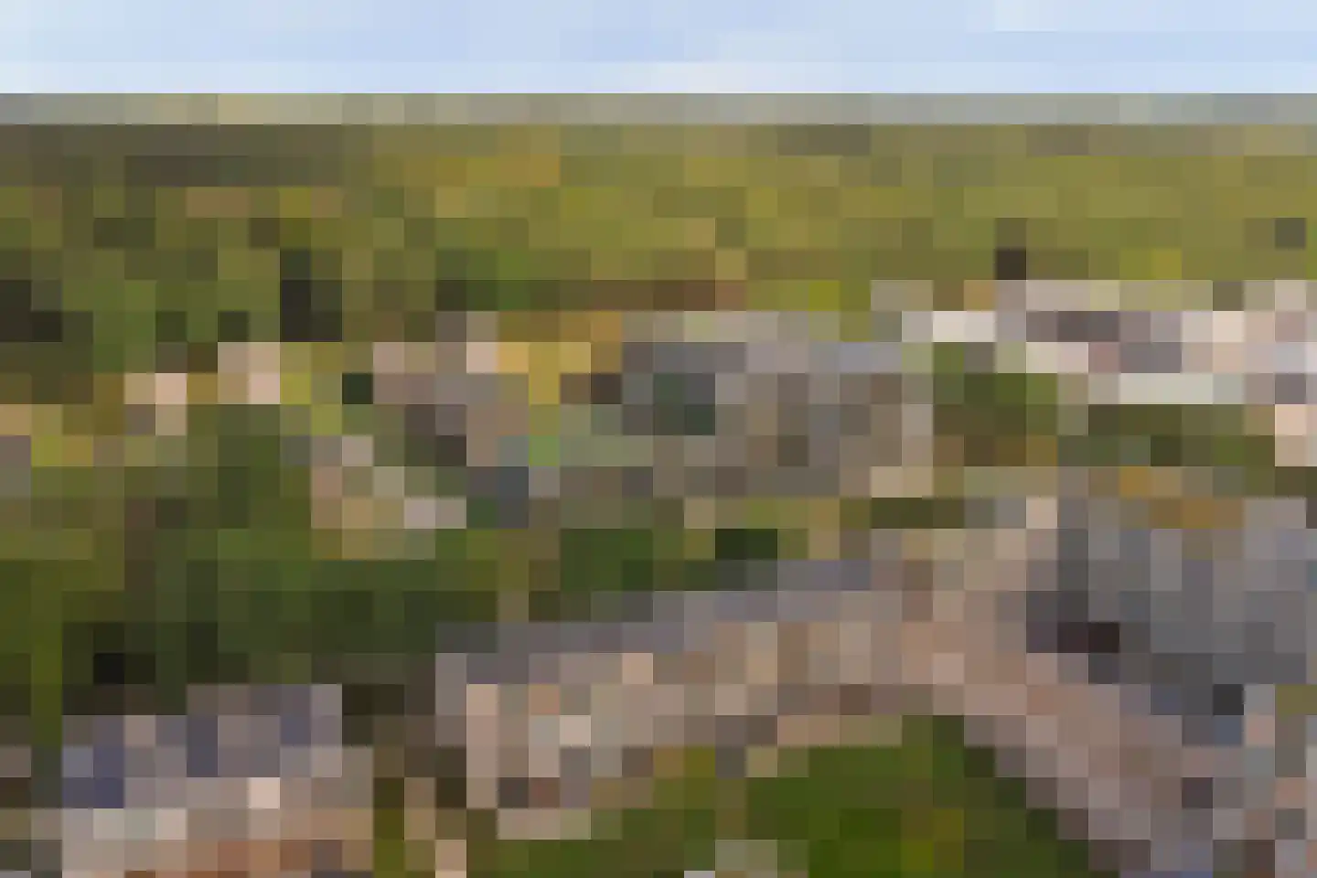 Pelotonlaan 14 Ede thumbnail 43