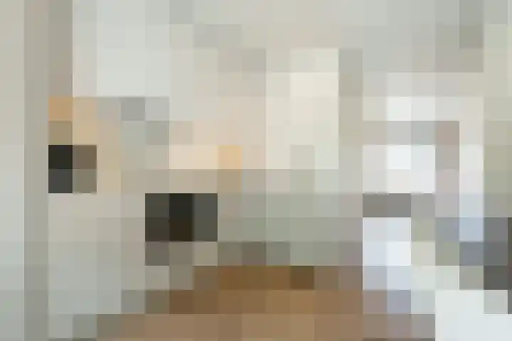 Pelotonlaan 20 Ede thumbnail 10