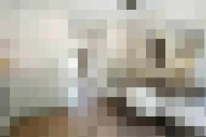 Pelotonlaan 20 Ede thumbnail 12