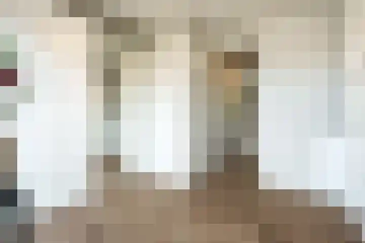 Pelotonlaan 20 Ede thumbnail 16