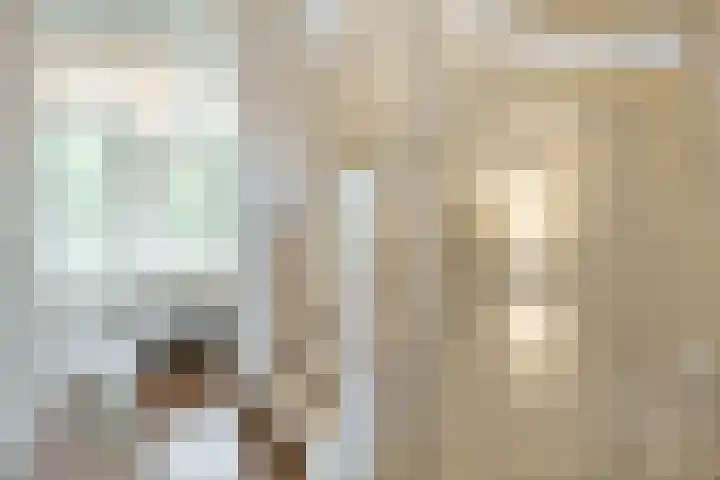 Pelotonlaan 20 Ede thumbnail 19