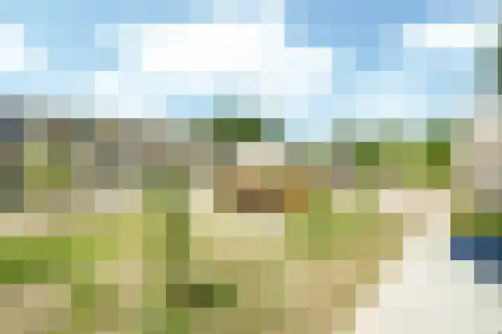 Pelotonlaan 20 Ede thumbnail 30