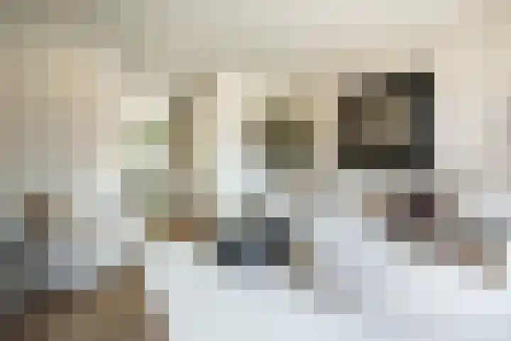 Pelotonlaan 20 Ede thumbnail 7