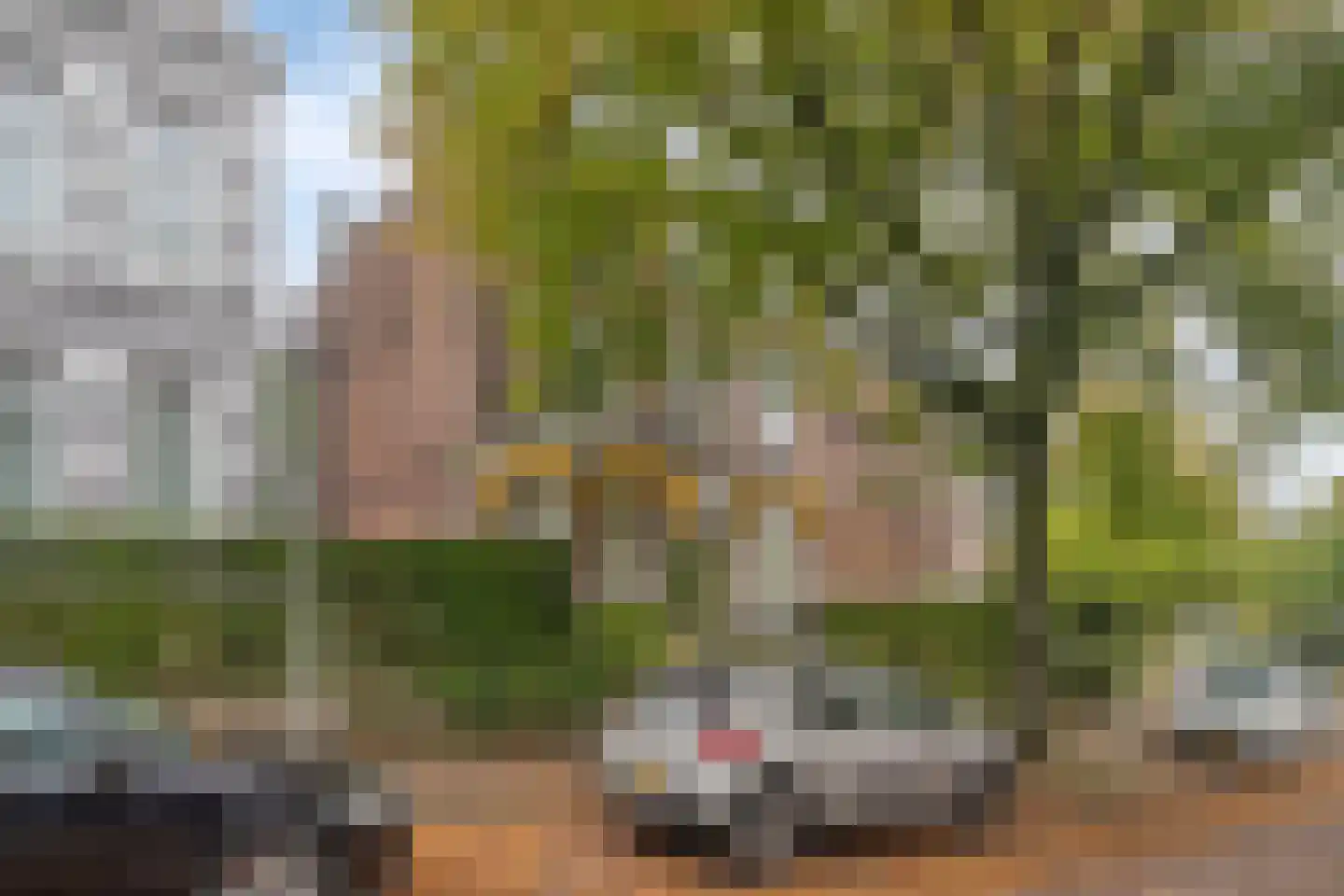 Pels Rijckenstraat 11 1 Arnhem thumbnail 22