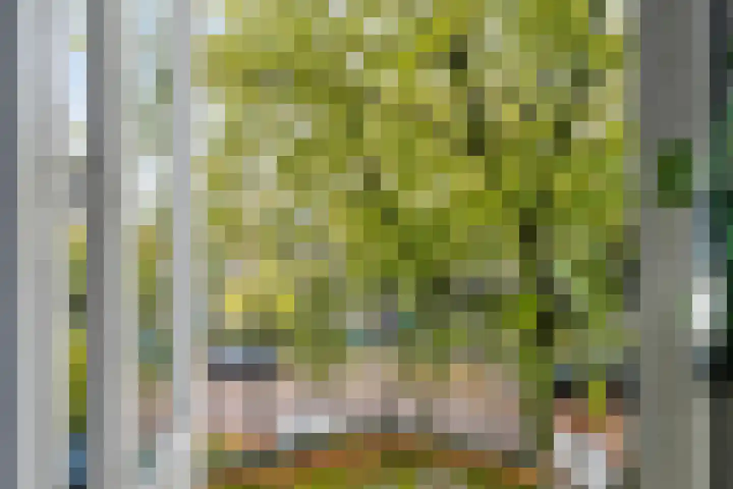 Pels Rijckenstraat 11 1 Arnhem thumbnail 4