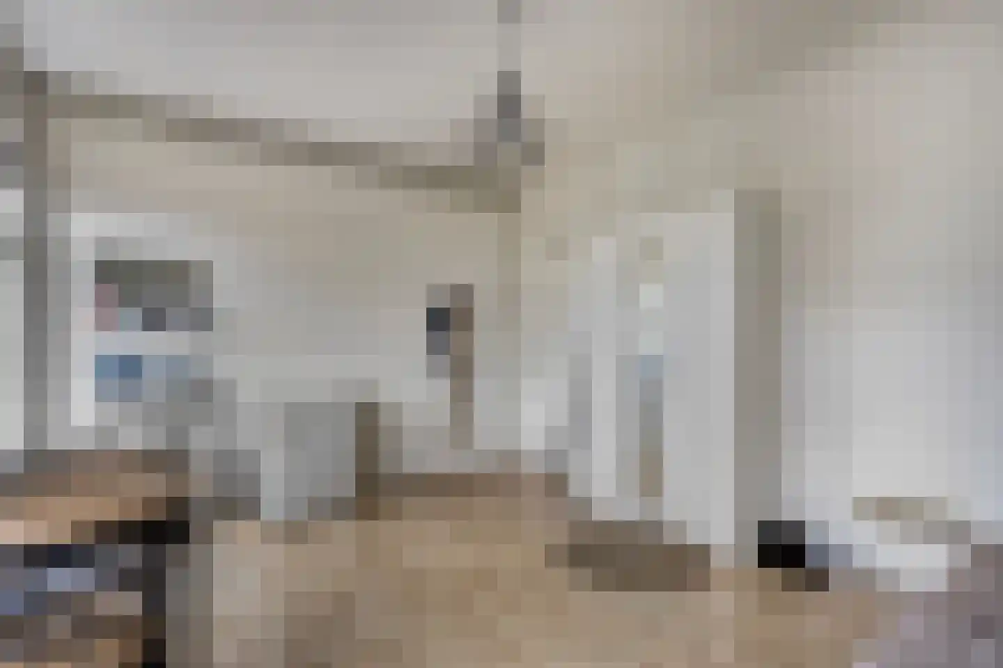 Pels Rijckenstraat 11 2 Arnhem thumbnail 7