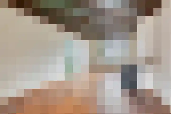 Pelsakker 10 Breda thumbnail 11