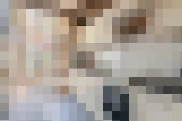 Pelsakker 10 Breda thumbnail 18