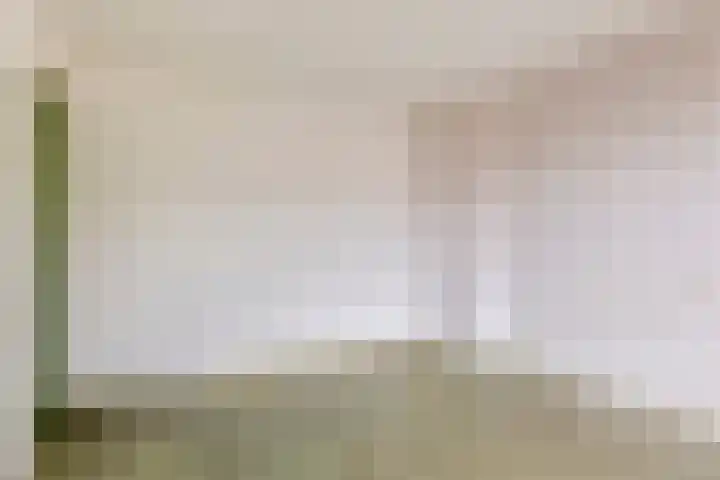 Pelsakker 10 Breda thumbnail 21