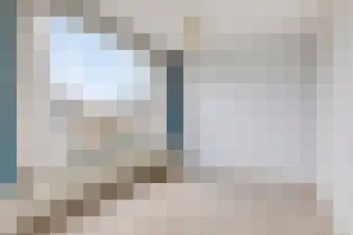 Pelsakker 10 Breda thumbnail 23