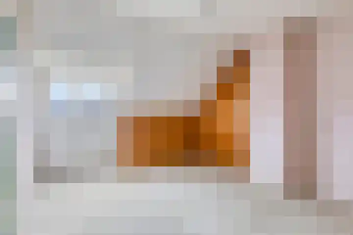 Pelsakker 10 Breda thumbnail 26