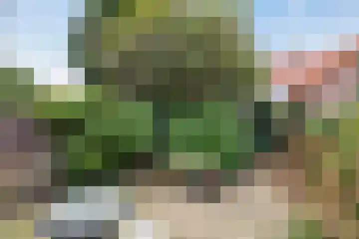 Pelsakker 10 Breda thumbnail 28