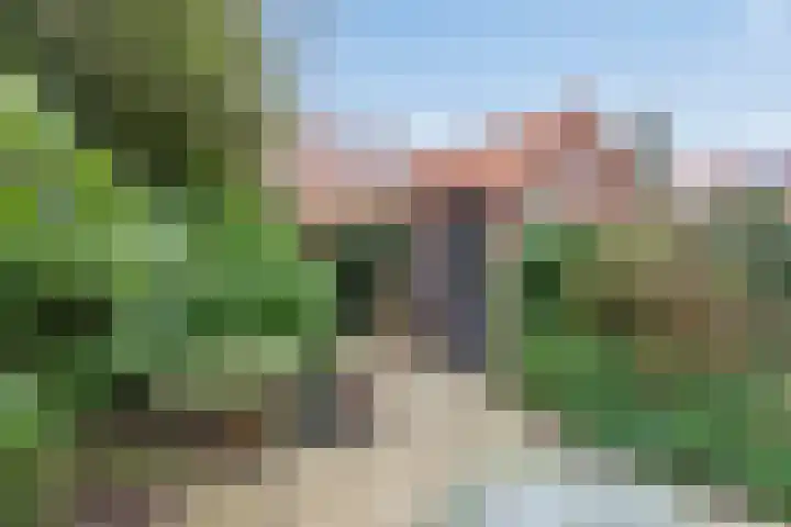 Pelsakker 10 Breda thumbnail 29