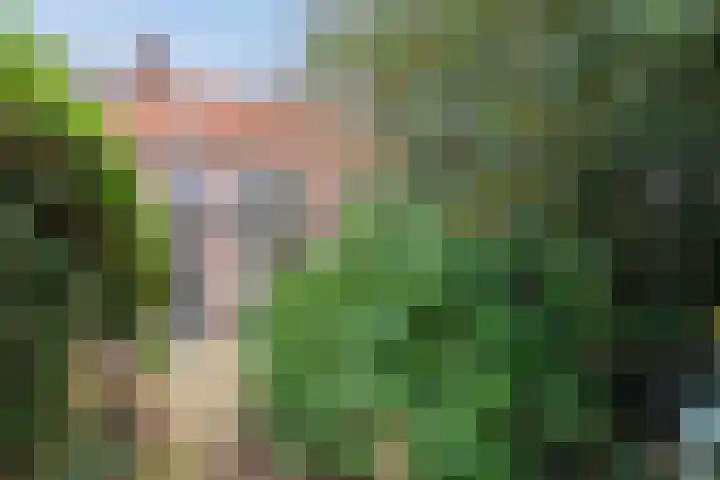 Pelsakker 10 Breda thumbnail 30