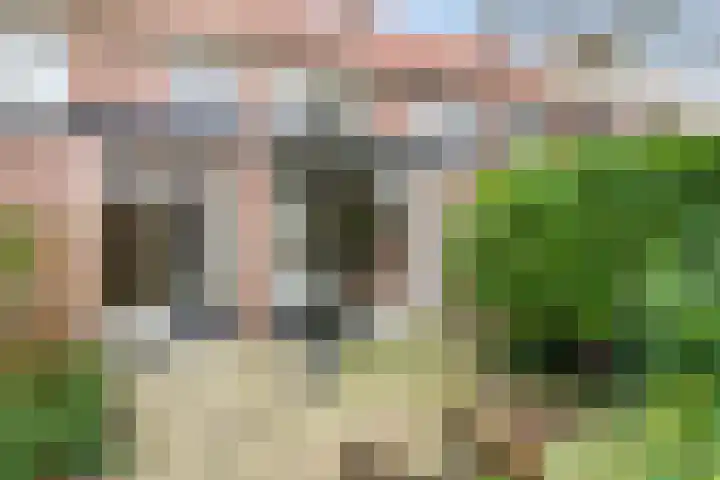 Pelsakker 10 Breda thumbnail 31