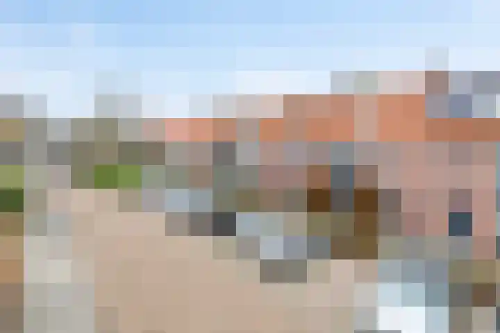 Pelsakker 10 Breda thumbnail 32