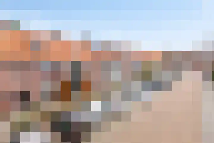 Pelsakker 10 Breda thumbnail 33