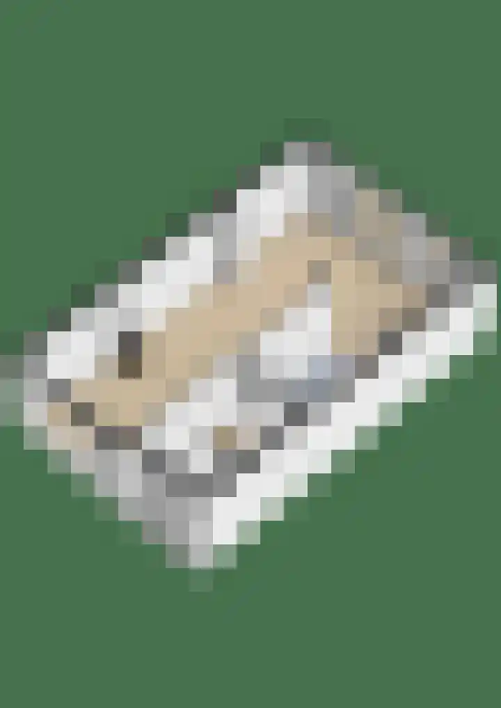 Pelsakker 10 Breda thumbnail 35