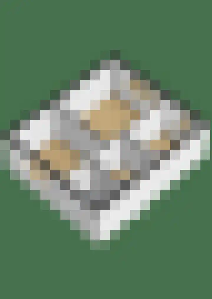 Pelsakker 10 Breda thumbnail 37
