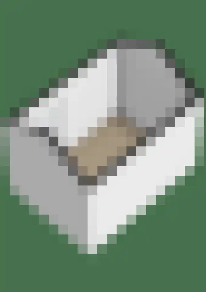 Pelsakker 10 Breda thumbnail 41
