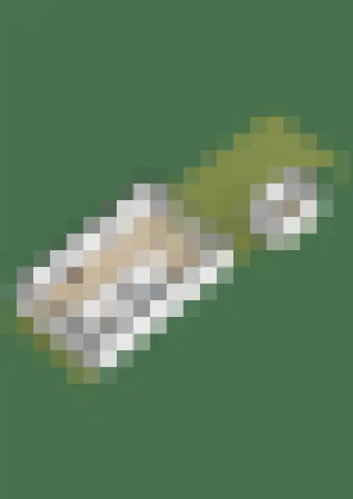 Pelsakker 10 Breda thumbnail 43