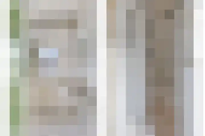 Pelsakker 10 Breda thumbnail 5