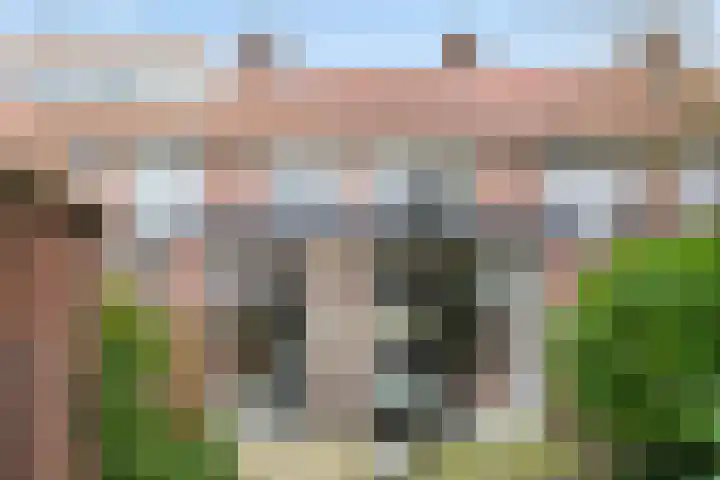 Pelsakker 10 Breda thumbnail 6