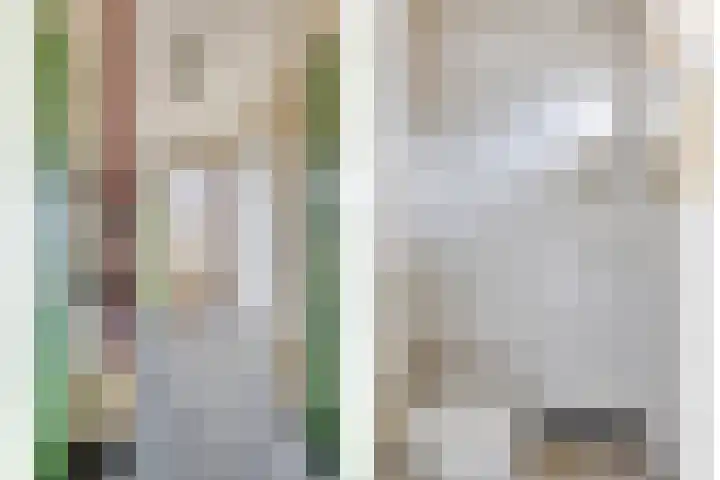 Pelsakker 10 Breda thumbnail 9