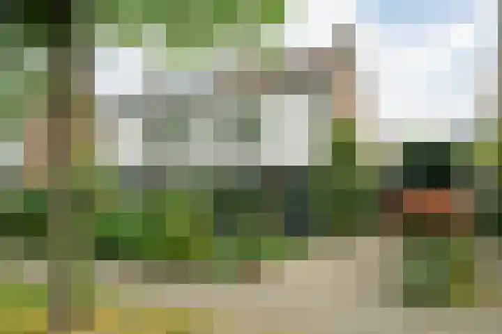 Pelsakker 23 in Breda