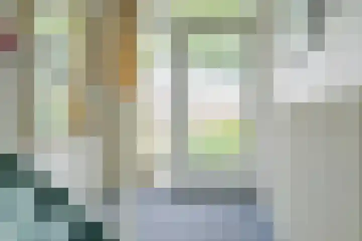 Pelsakker 23 Breda thumbnail 11