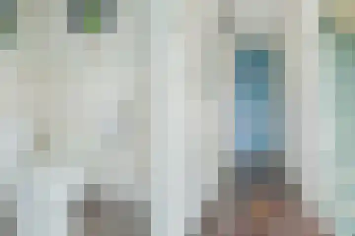 Pelsakker 23 Breda thumbnail 12