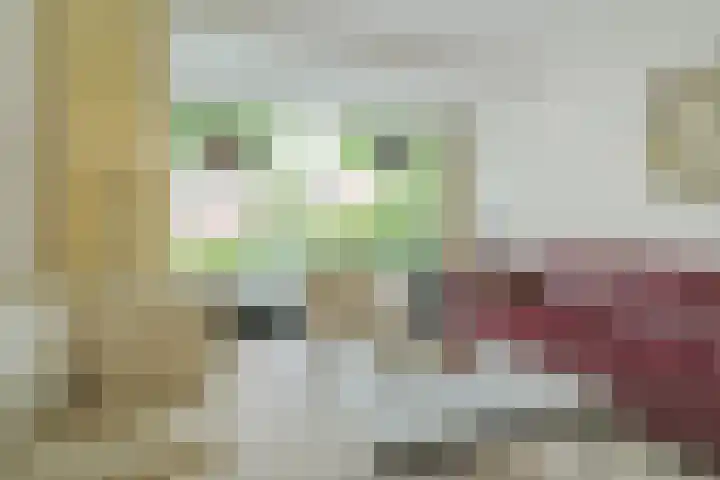 Pelsakker 23 Breda thumbnail 15
