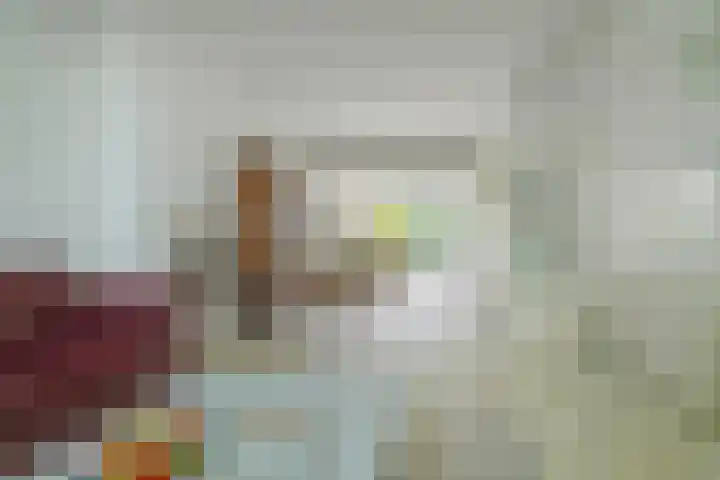 Pelsakker 23 Breda thumbnail 17