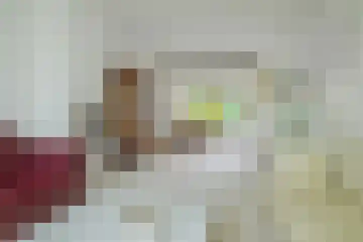 Pelsakker 23 Breda thumbnail 18