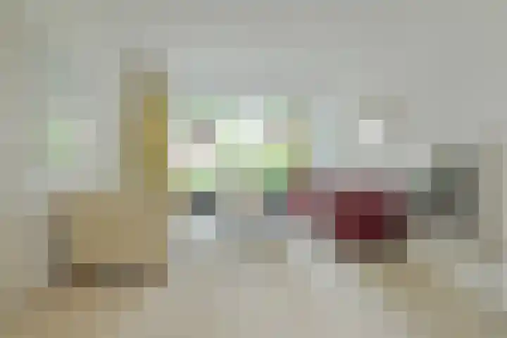 Pelsakker 23 Breda thumbnail 19