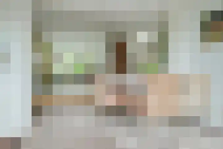 Pelsakker 23 Breda thumbnail 21
