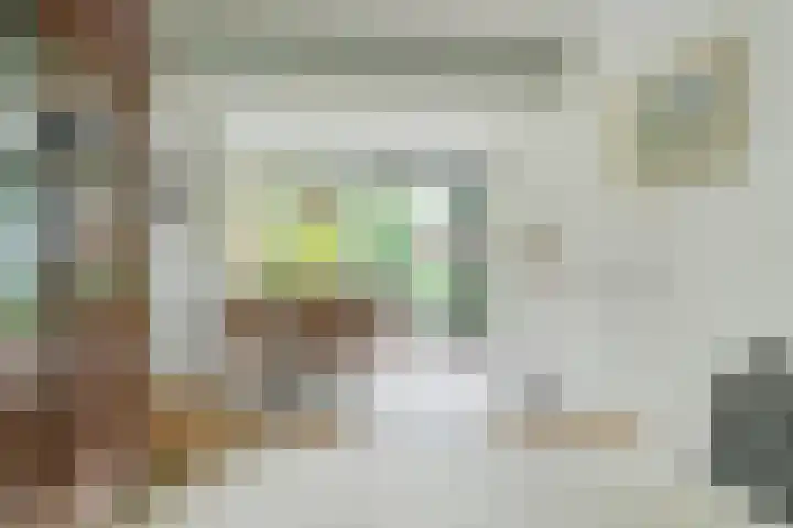 Pelsakker 23 Breda thumbnail 23