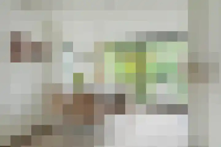 Pelsakker 23 Breda thumbnail 24