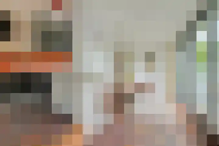 Pelsakker 23 Breda thumbnail 25